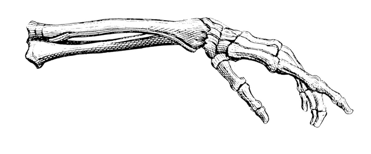 Physiotherapie Johannson - Elektrotherapie gegen Schmerzen bei Physiotherapie Johannson in Steinbach, Oberursel und Eschborn
