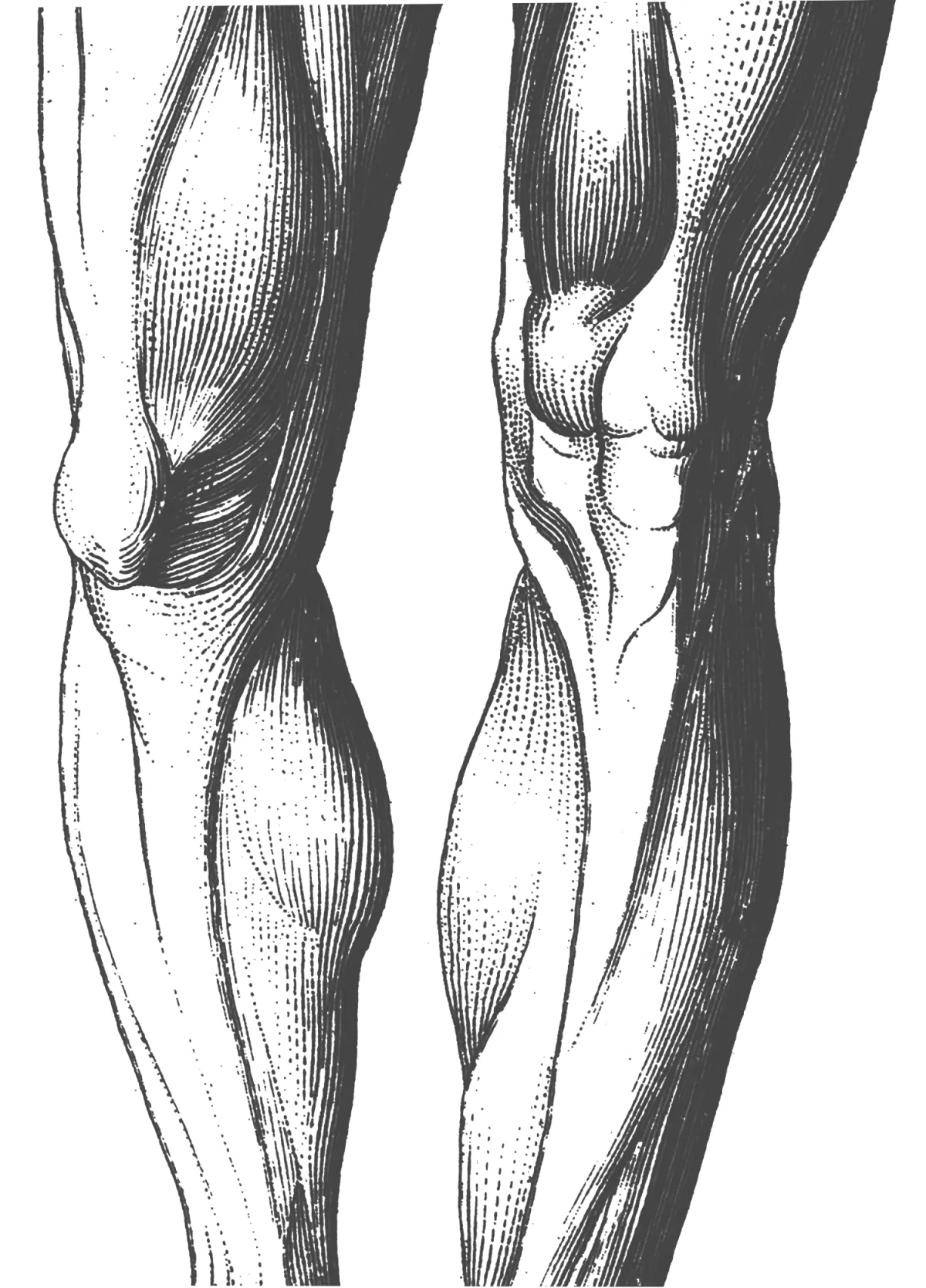 Physiotherapie Johannson - Knieschmerzen behandeln bei Physiotherapie Johannson