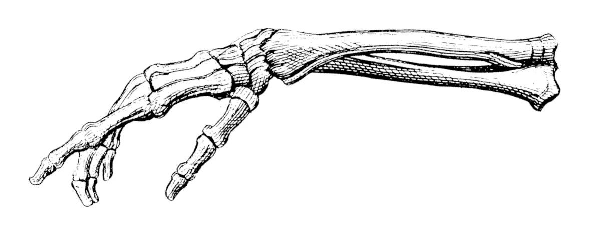 Physiotherapie Johannson - Krankengymnastik am Gerät bei Physiotherapie Johannson in Oberursel