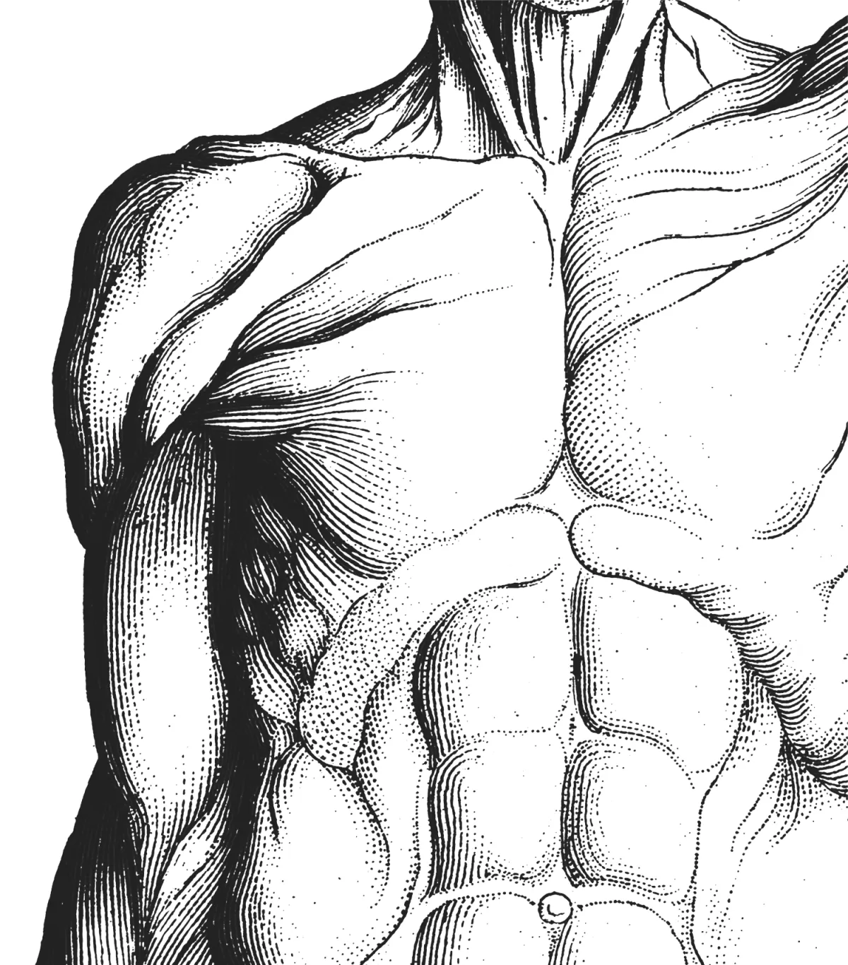 Physiotherapie Johannson - Ultraschalltherapie gegen Schmerzen bei Physiotherapie Johannson in Steinbach, Oberursel und Eschborn