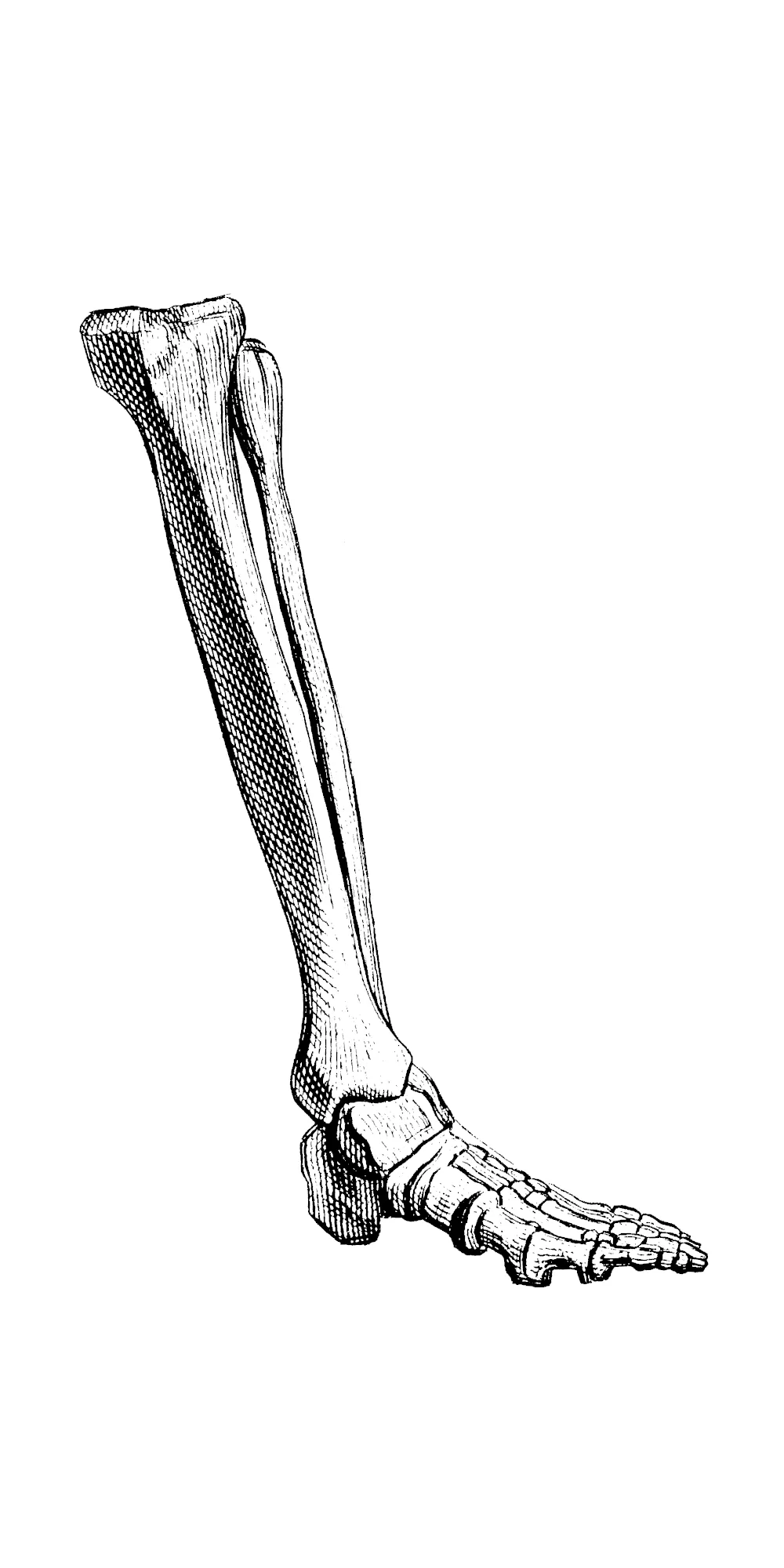 Physiotherapie Johannson - Tiefe Bindegewebsmassage bei Physiotherapie Johannson in Oberursel, Steinbach und Eschborn