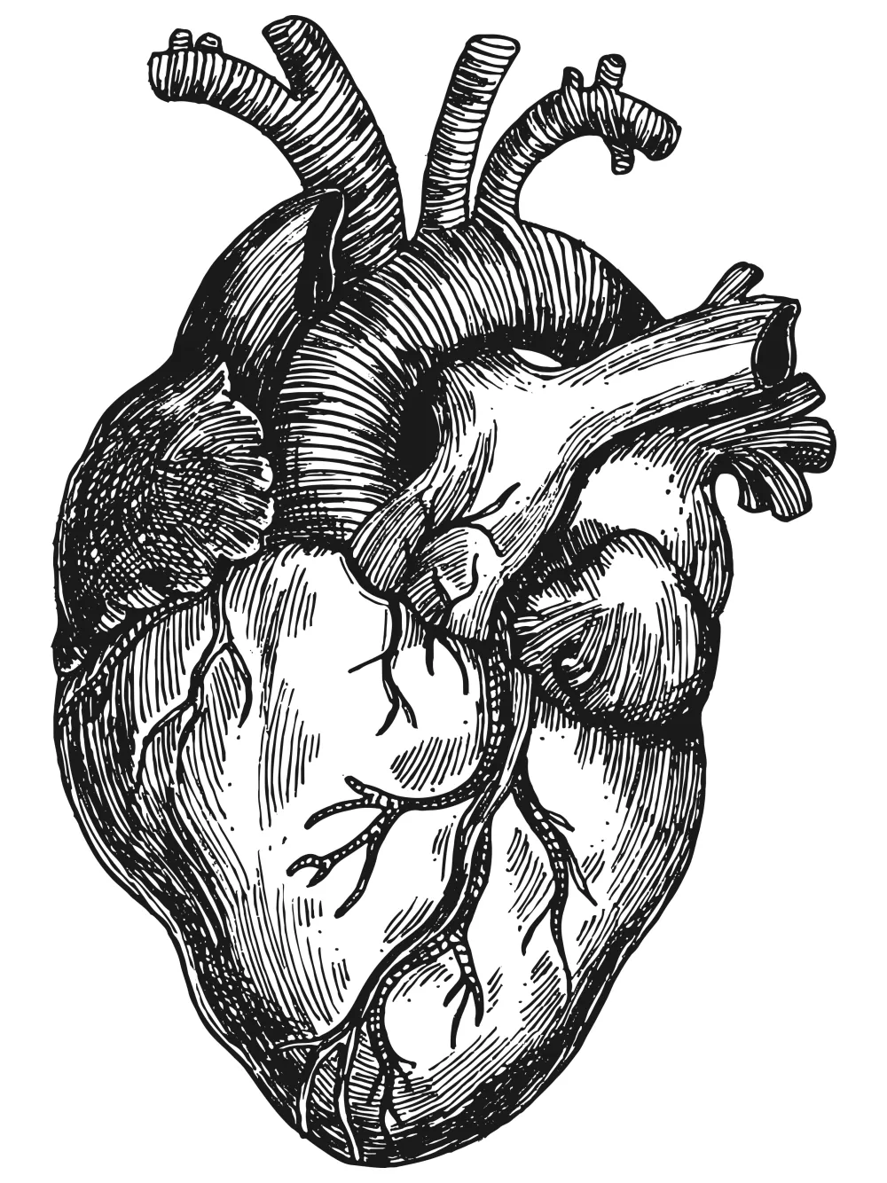 Physiotherapie Johannson - Schmerzen mit Fango lindern bei Physiotherapie Johannson in Steinbach, Eschborn und Oberursel