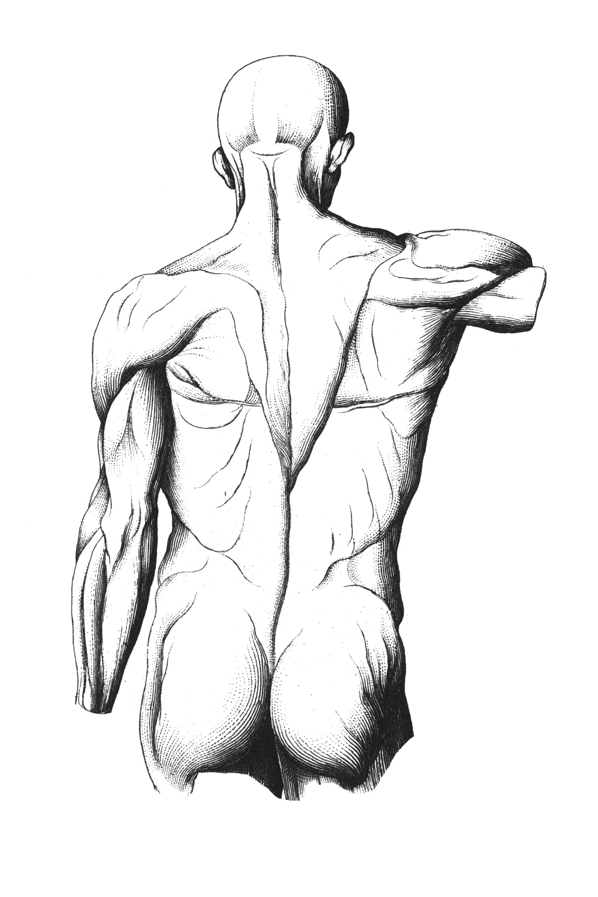 Physiotherapie Johannson - Schmerzen behandeln mit Rotlicht bei Physiotherapie in Steinbach, Oberursel und Eschborn