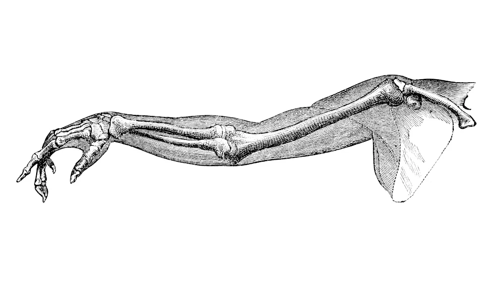 Physiotherapie Johannson - Fragen zu Manueller Therapie und Krankengymnastik bei Rückenschmerzen